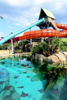 SeaWorld San Antonio to Make Aquatica a Standalone Park and Offer Swimming With Dolphins at New Discovery Point Park