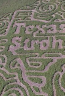 Local Maze Will Benefit Hurricane Harvey Relief, Is Texas AF