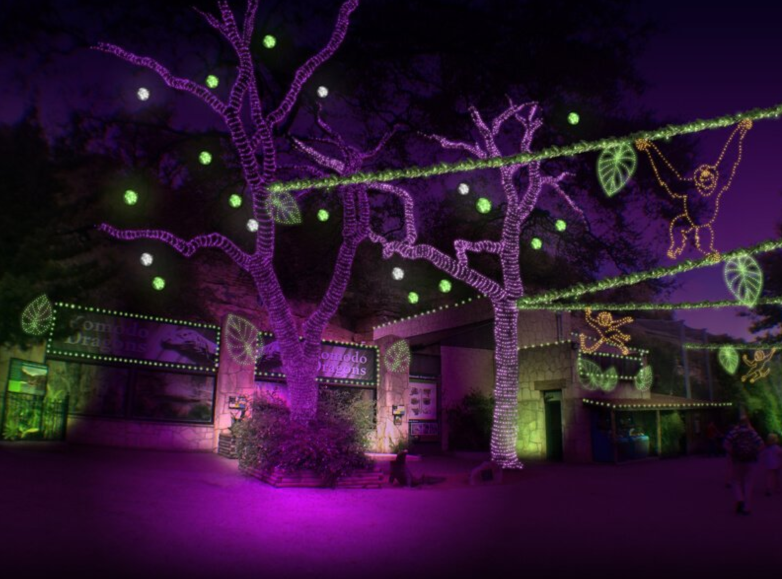 Lions, Tigers and Lights: Zoo Lights Takes Over San Antonio Zoo Through