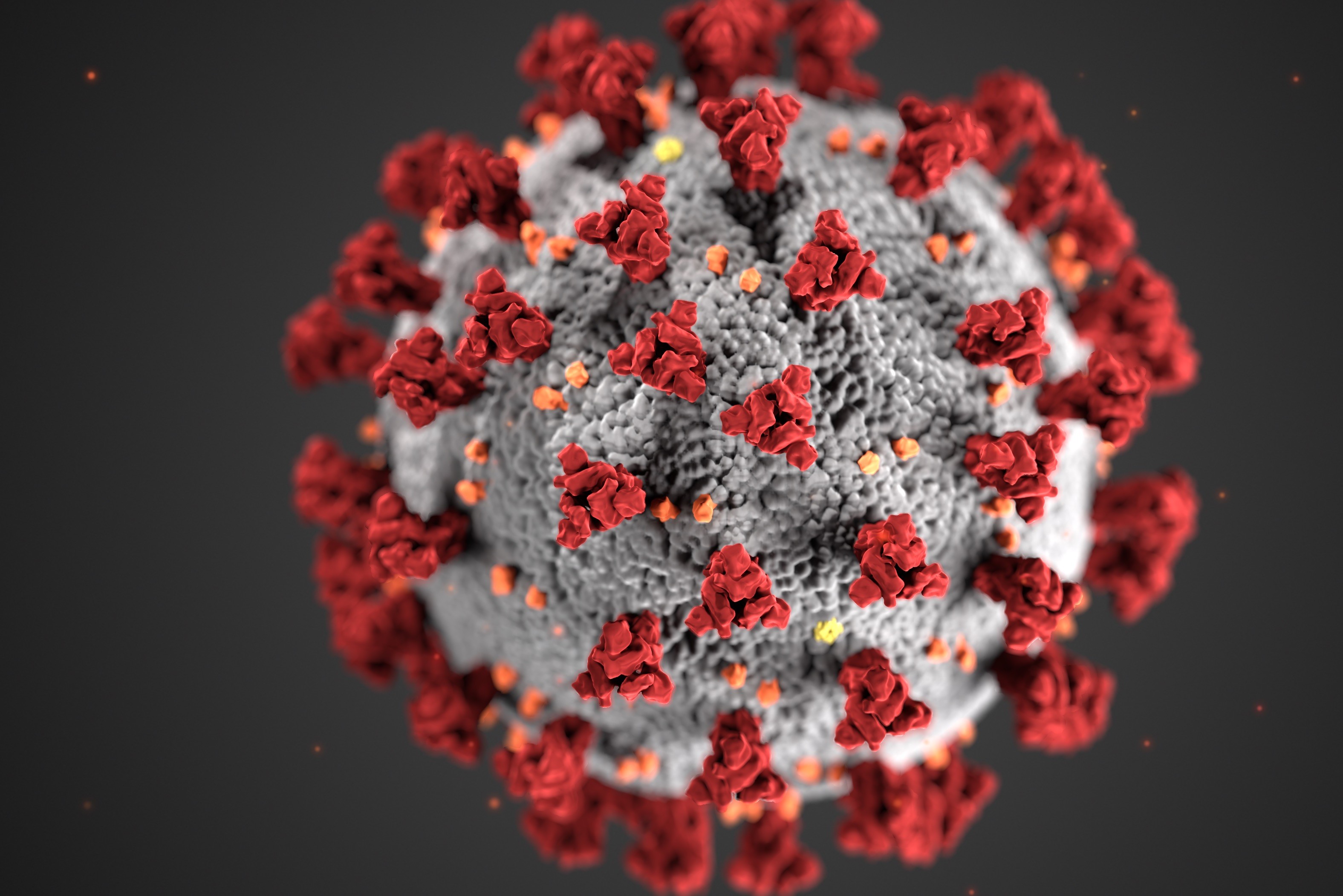 Patient Who Tested Positive for Coronavirus Was Allowed to ...