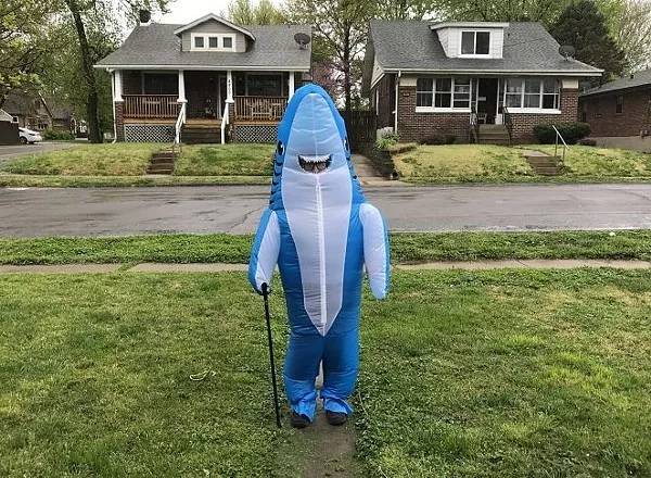 A portrait of the author as a cool shark. - ANJELIQA PRATT