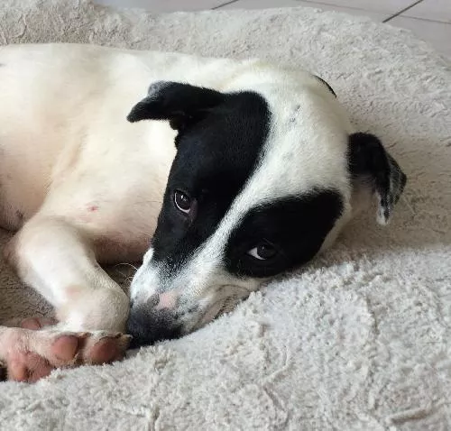 Baxter: Sure does get lonely all by my lonesome