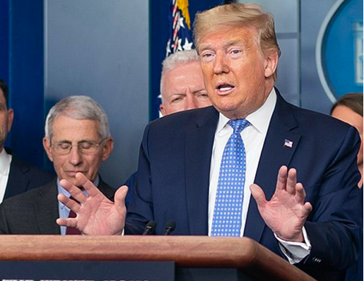 President Donald Trump speaks during a White House coronavirus briefing. - THE WHITE HOUSE