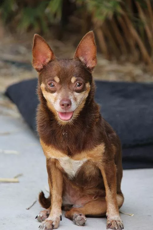 Thelma's just a shy girl who'd love to live a life of luxury with her BFF Louise