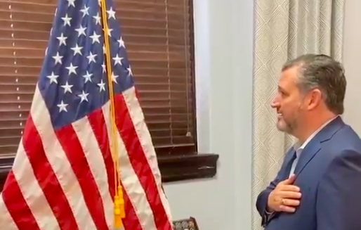 A boy and his flag: Sen. Ted Cruz puts on a patriotic performance for Twitter. - SCREEN CAPTURE / TWITTER / SENTEDCRUZ