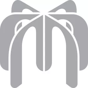 MERCURY PROJECT