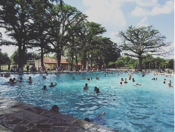 SAN PEDRO SPRINGS PARK POOL, PHOTO BY JESSICA ELIZARRARAS