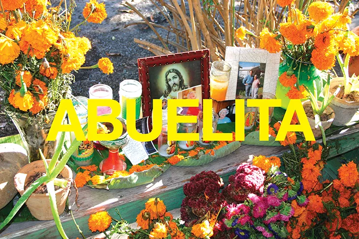 CHUCK RAMIREZ, WORDS SERIES, ABUELITA, 2004