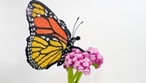 New San Antonio Botanical Garden Showcase Brings Attention to Nature Topics Through LEGO Art