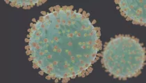 Number of Coronavirus Cases in San Antonio Rises to 11