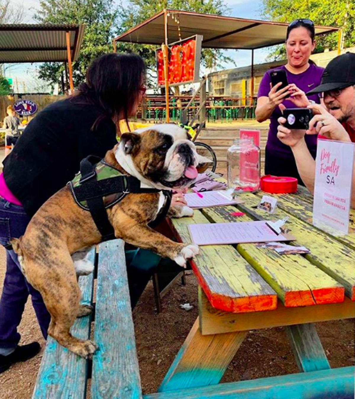 25 Essential Dog Friendly Drinking Spots In San Antonio San