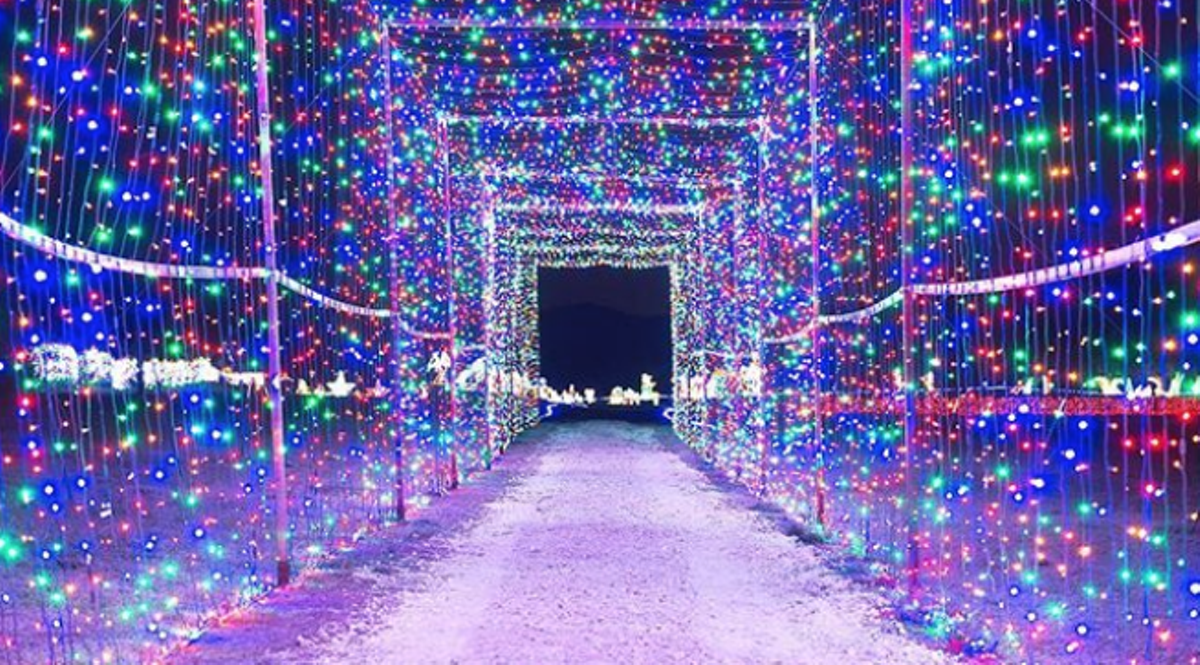 Drive Thru Christmas Light Displays Near Me Christmas Ornaments 2021