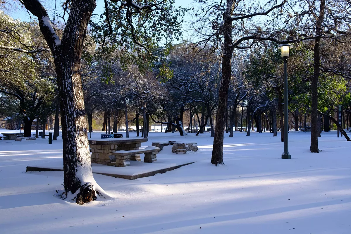 21 magical pictures of the snow day San Antonio got from its winter