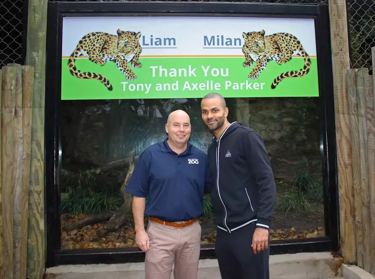 Jaguar San Antonio >> Tony Parker Named The San Antonio Zoo S Newest Jaguar Cubs Jaguar San Antonio >> Tony Parker Named The San Antonio Zoo S Newest Jaguar Cubs