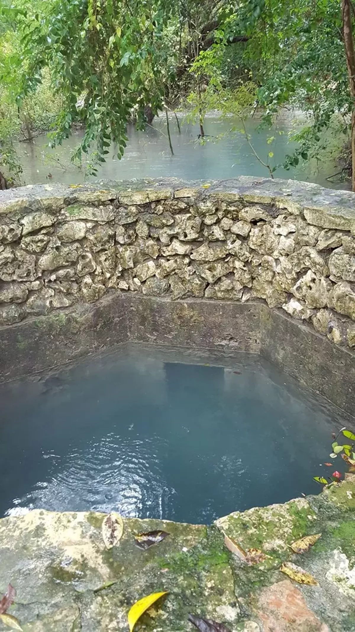 Headwaters History Series Yanaguana and the Archaeology of the San