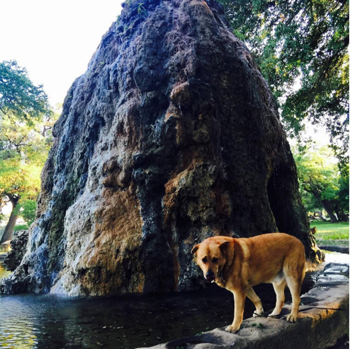 15 Parks in San Antonio Where You Can Bring Your Best Friend (AKA Your