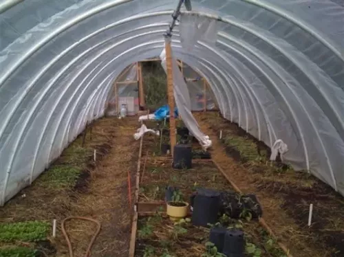 Another Farm Falls | News | Salt Lake City | Salt Lake 