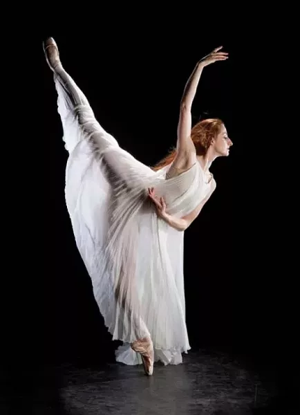 art12485widea.jpg