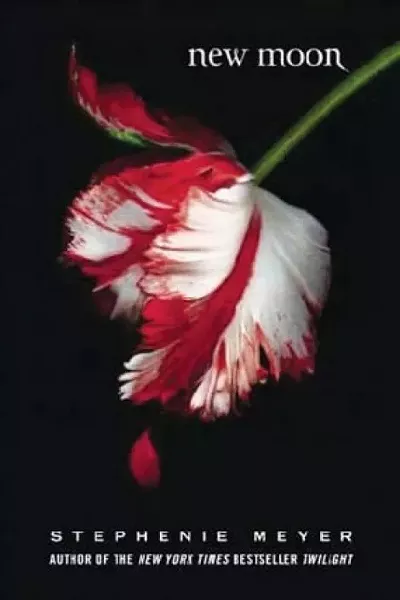 art5825widea.jpg