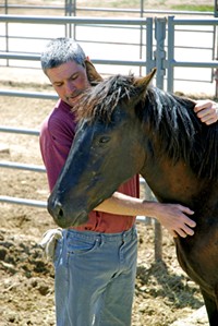 Inmate Adam Wilson gentles a wild horse