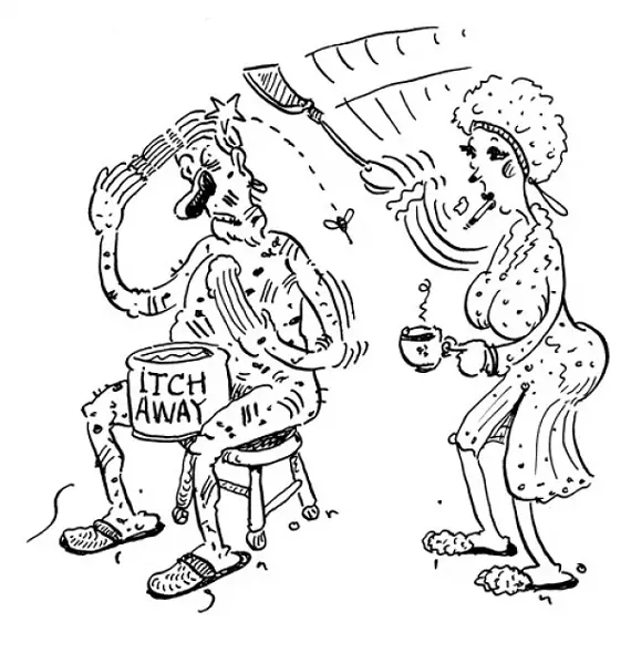 art17207.jpg