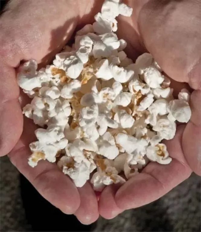 Popcorn Matters Wine Salt Lake City Weekly