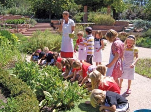 Red Butte Garden Day Camp