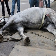 SLC Council to Hold Off on New Horse-Drawn-Carriage Policy