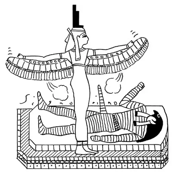 art15959.jpg