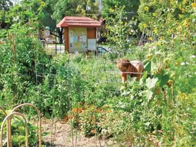 wasatchcommunitygarden.jpg