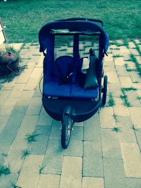 The modern-day handcart of homeless woman Kim Krause, which she hopes to take on a trek south. - STEPHEN DARK