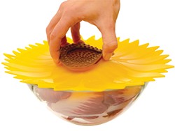 main-sunflower-hero.jpg