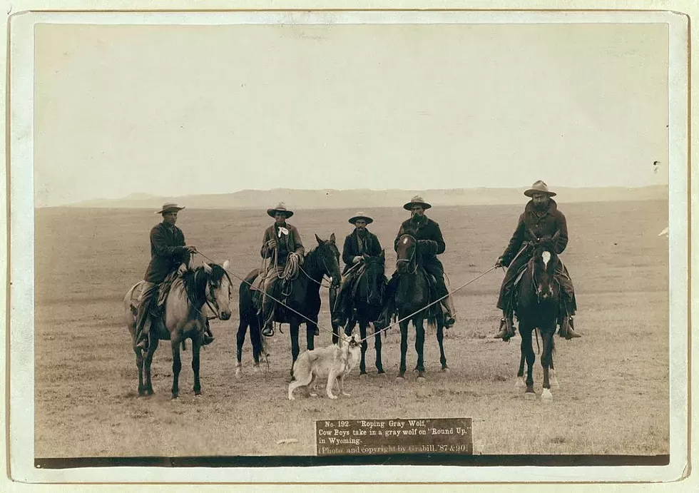 JOHN C. H. GRABILL COLLECTION, LIBRARY OF CONGRESS