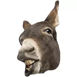 dems.jpg
