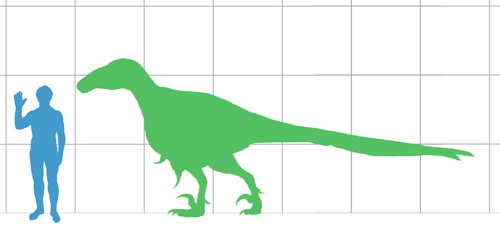 Why was this such a big issue? I mean, look at the size of the largest known Utahraptor, compared with a meager human. - VIA WIKIMEDIA COMMONS