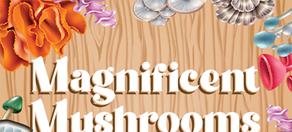 Magnificent Mushrooms