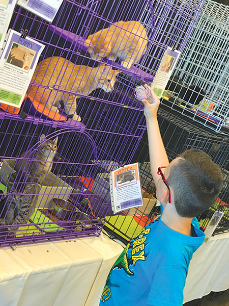 Petapalooza - SALT LAKE COUNTY ANIMAL
