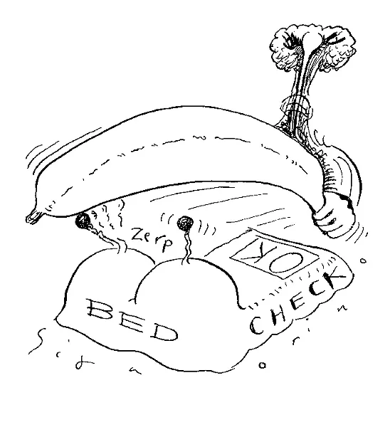 SLUG SIGNORINO