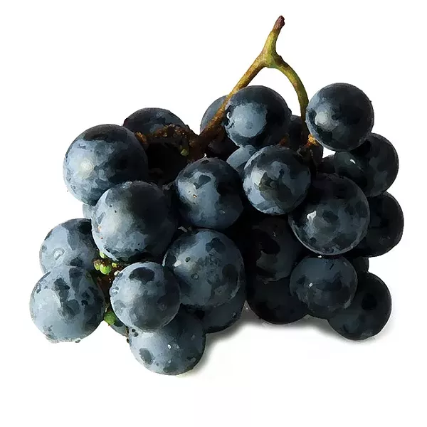 dine_drink1-1-2f5b9bb6f4a9b56b.jpg