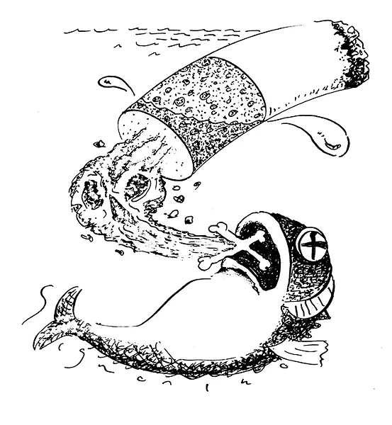 SLUG SIGNORINO