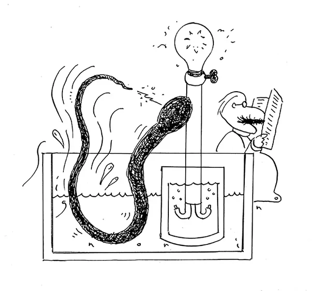 SLUG SIGNORINO
