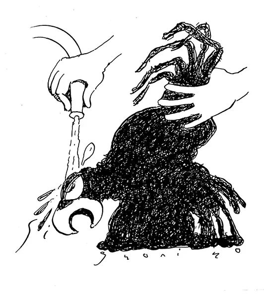 SLUG SIGNORINO