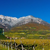 Wine Wednesday: A Summer Sipper from Alto Adige