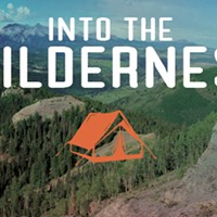 Into The Wilderness