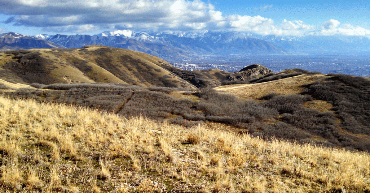 SLC Buys 305 Acres for Open Space Buzz Blog