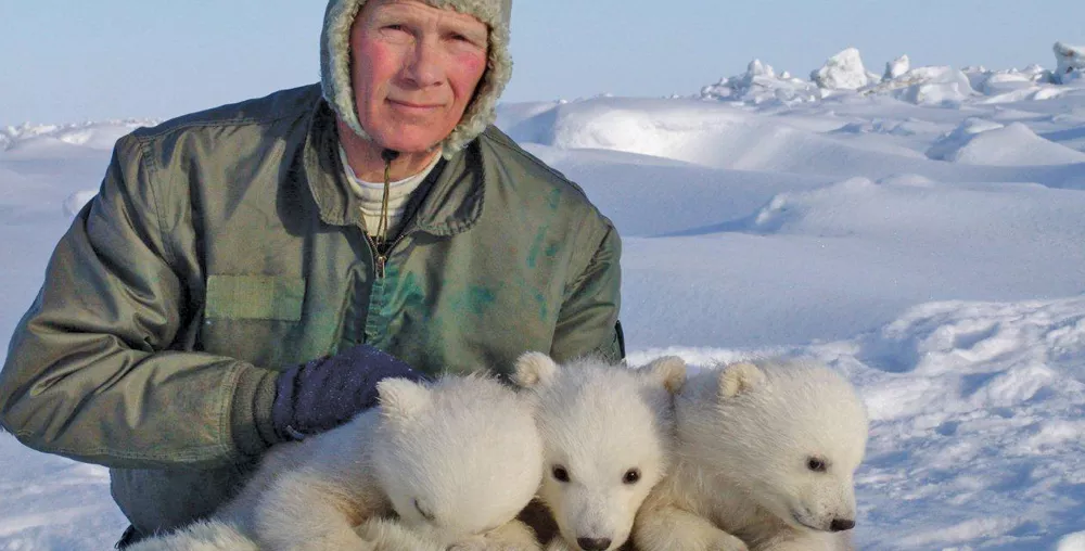 Steven Amstrup, co-author of 21 - papers in the 92-paper database, with three ridiculously cute polar bear cubs. - COURTESY POLAR BEARS INTERNATIONAL