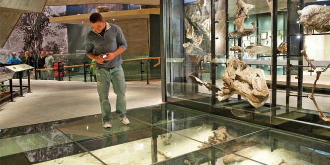 Natural History Museum of Utah - STUART RUCKMAN