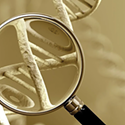 How DNA experts and law enforcement uncover hidden identities.
