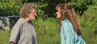 If the Bootstrap Fits