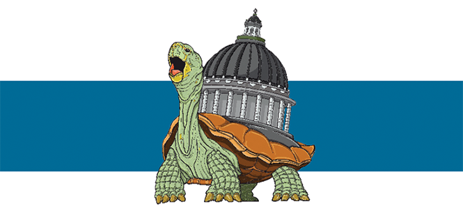 Slow and Steady - Vimarsana News